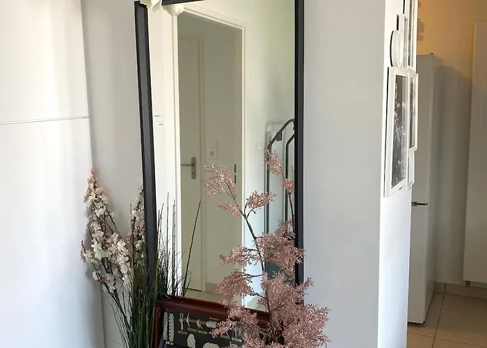 Jolie T2 Au Calme à 2 Pas Du Vieux Port