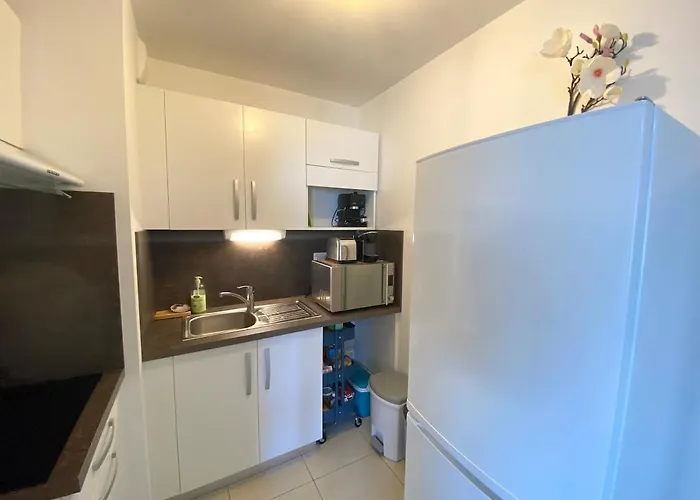 Appartement Jolie T2 Au Calme à 2 Pas Du Vieux Port *